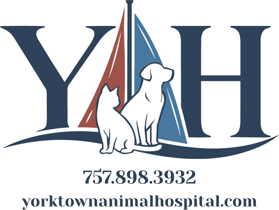 Yorktown Animal Hospital